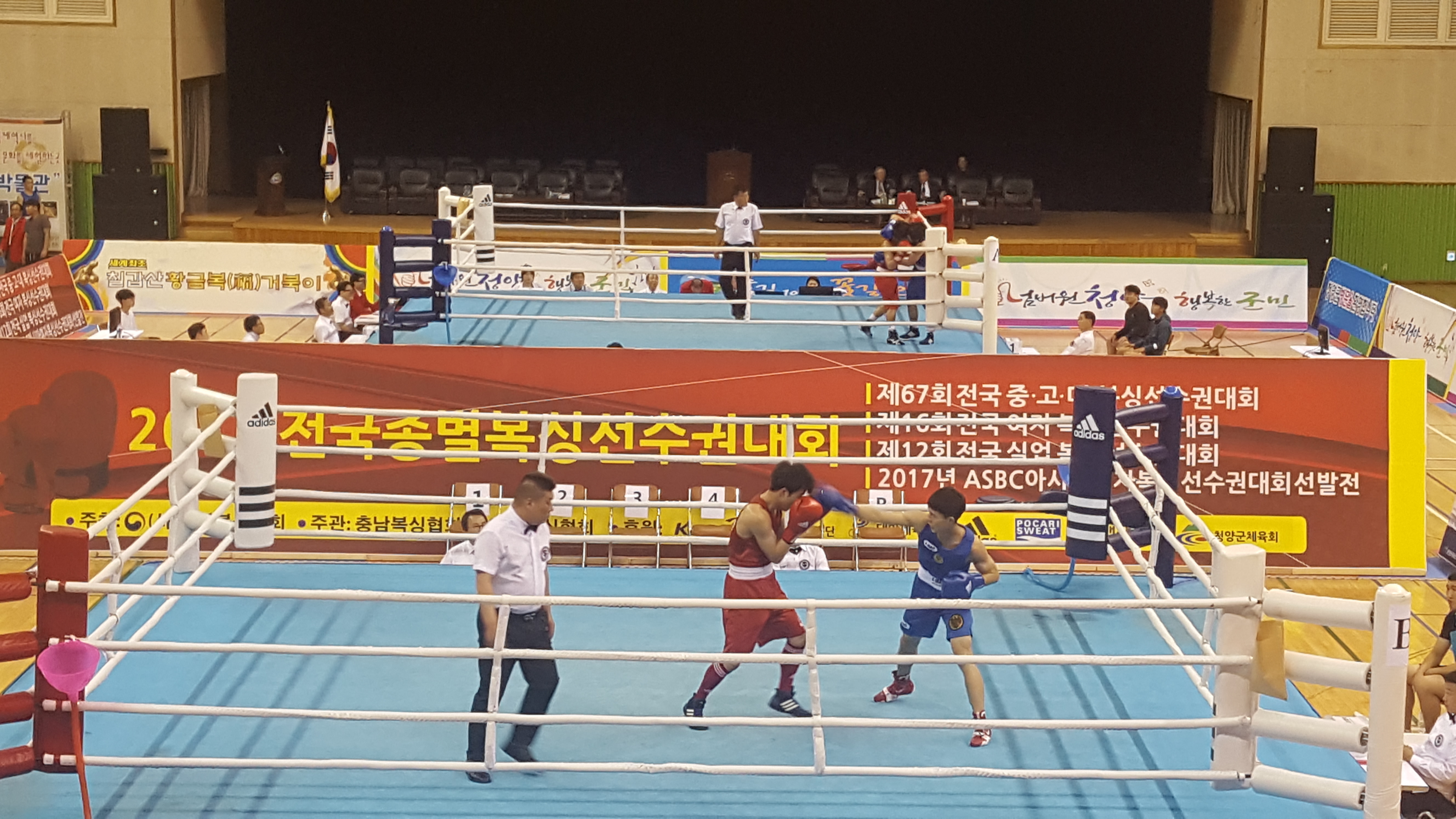 0629 2017 전국 종별 복싱경기