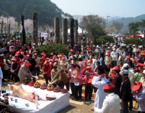 칠갑산 벚꽃이 어우러진 장승축제