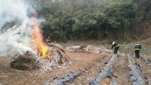 비봉면, 농산폐기물 소각 대행으로 산불예방에 크게 기여