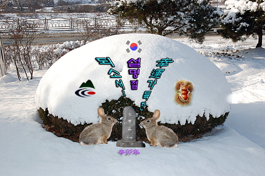 Y