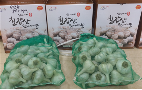 출하포장.bmp