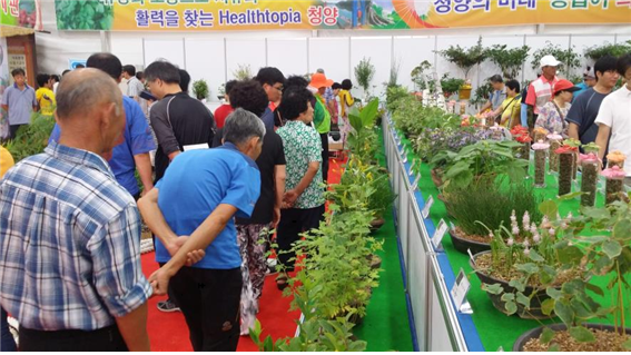산야초축제1.bmp