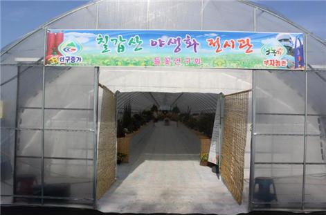 야생화전시회2