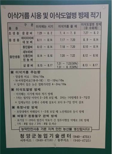 이삭거름 시용및 이삭도열병 방제적기 관련