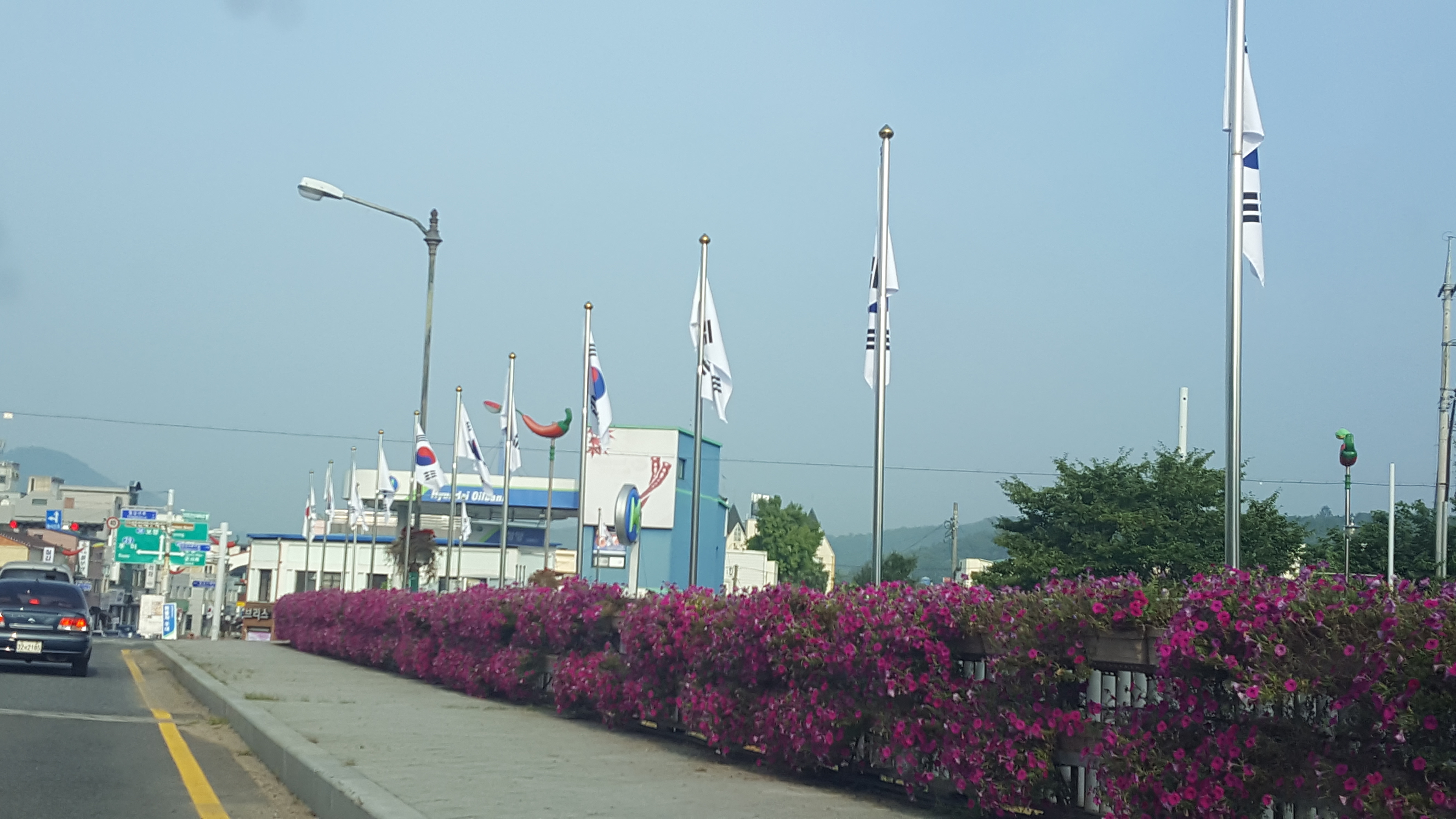 0809 태극기 달기 운동
