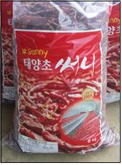 청양군 태양초 써니