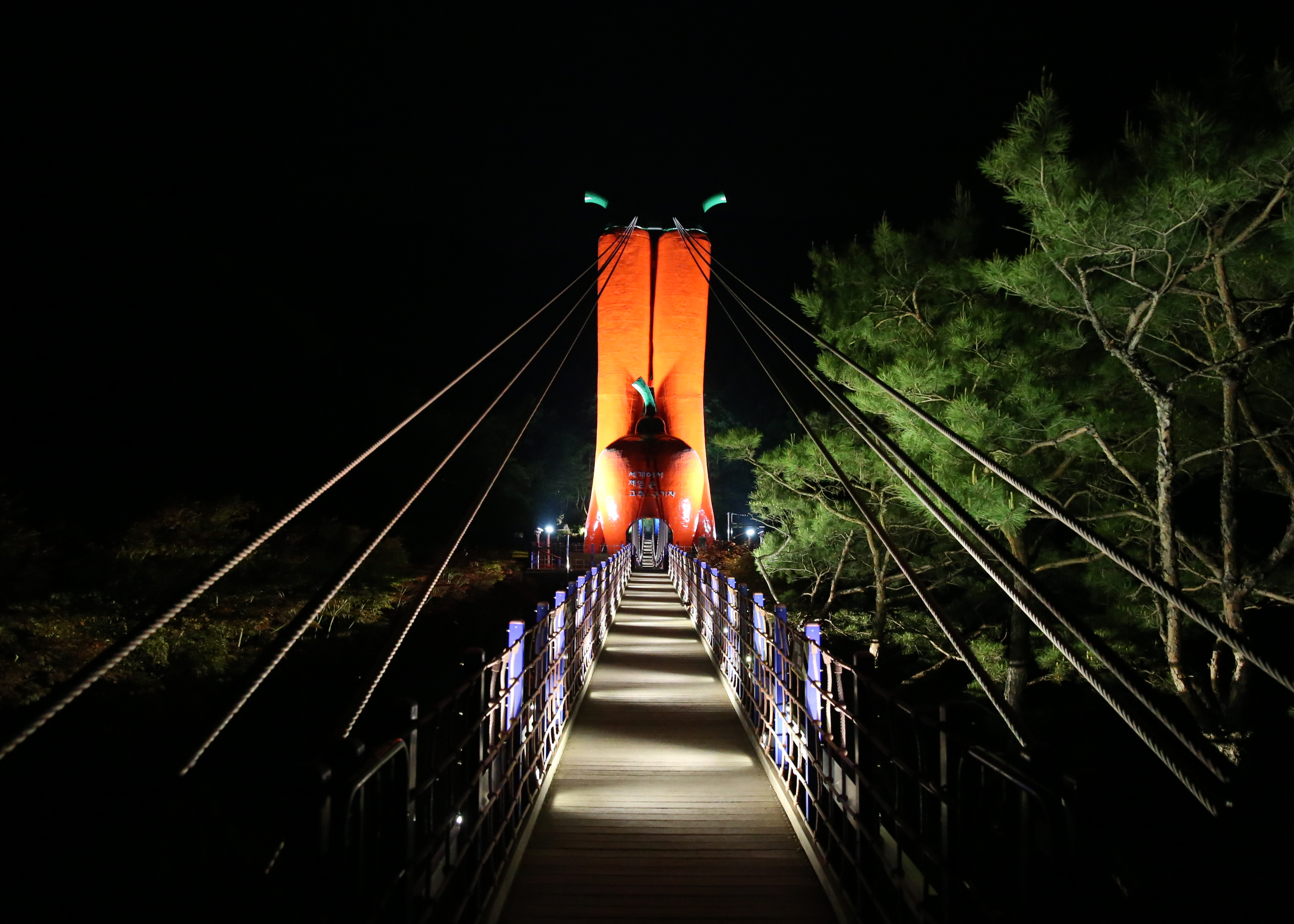 0331 천장호 야간개장1