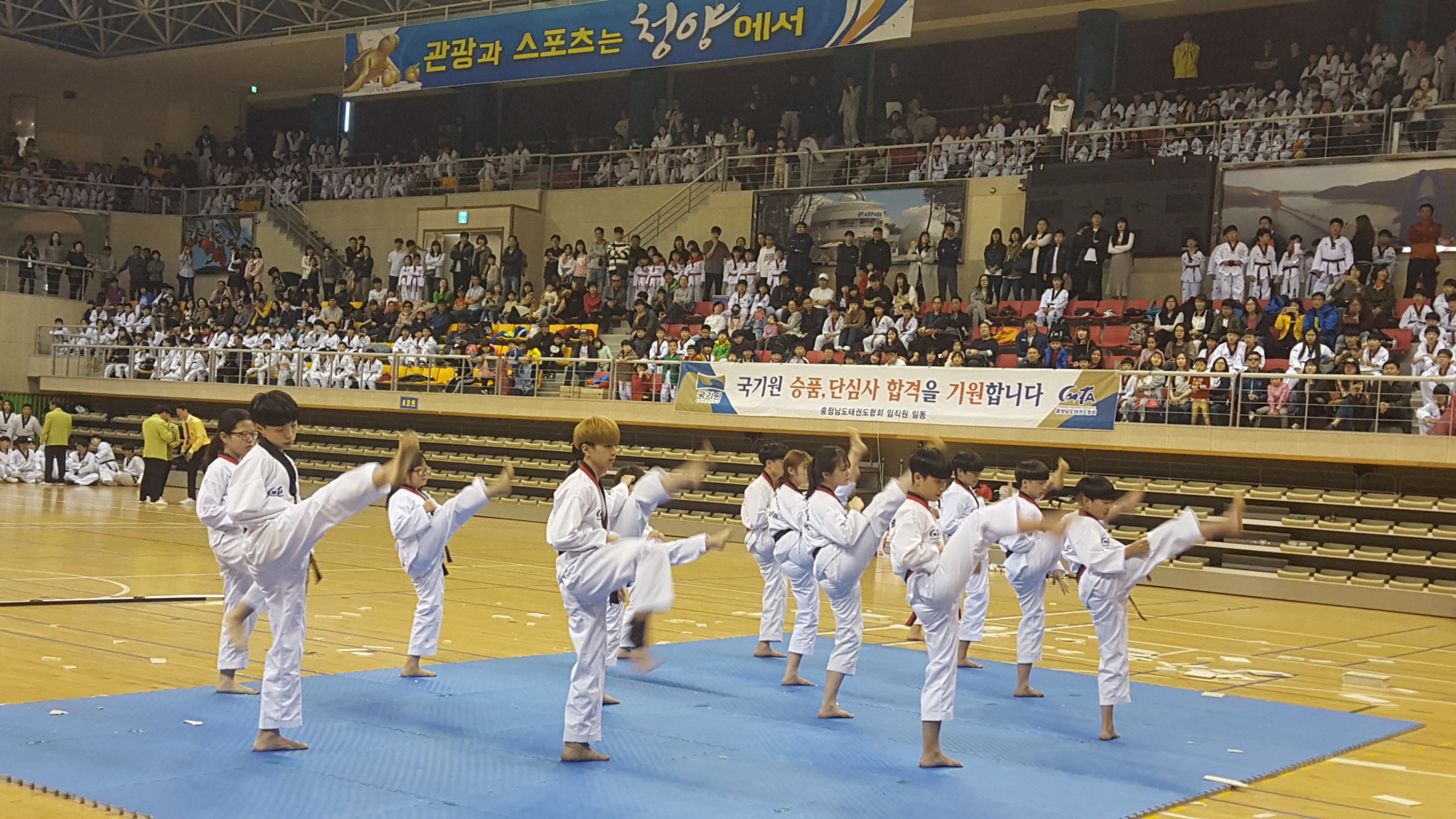 0417 충남 제4차 국기원 승품·단 심사1