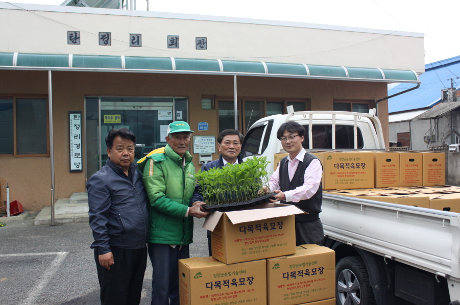 0421 우량 고추묘 공급2