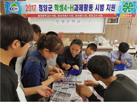 4H 활동