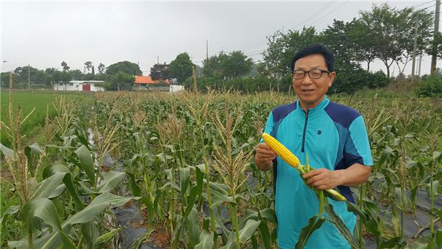 초당옥수수농부