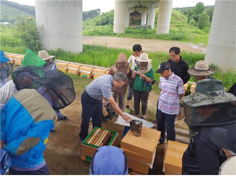 초보자양봉교육1