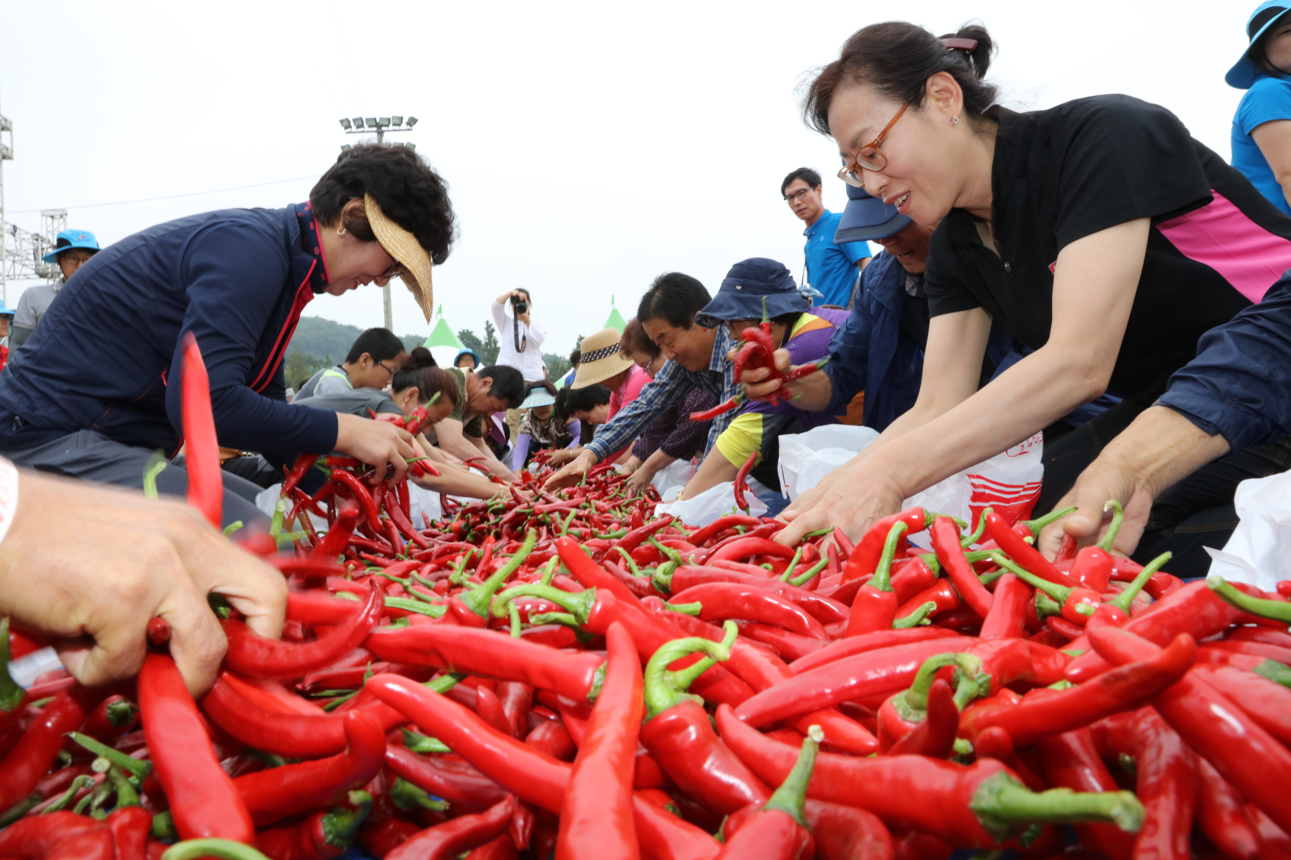 0919 제18회청양고추구기자축제-천원 고추 담아가기1