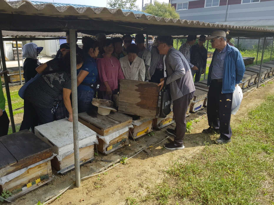 0920 양봉6차산업반 맞춤형 현장교육1