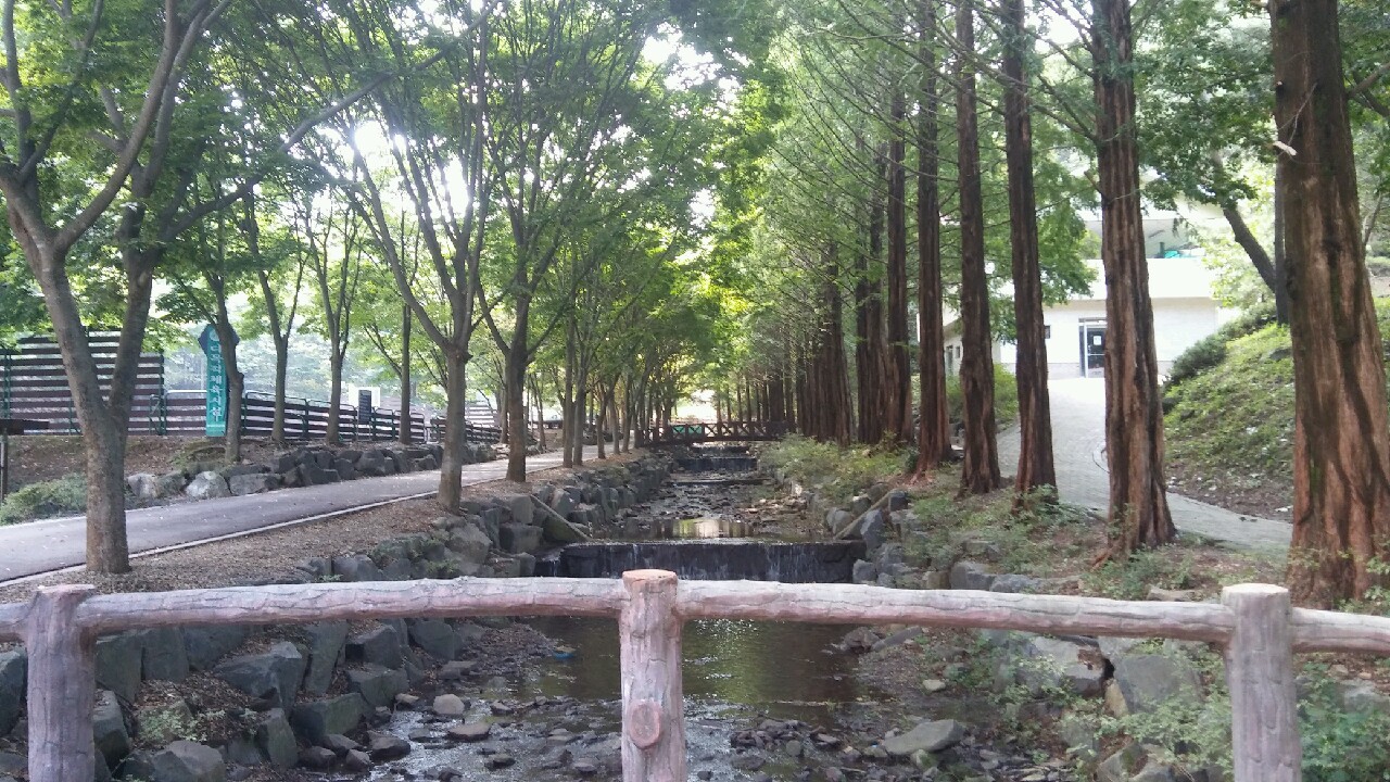 산책로