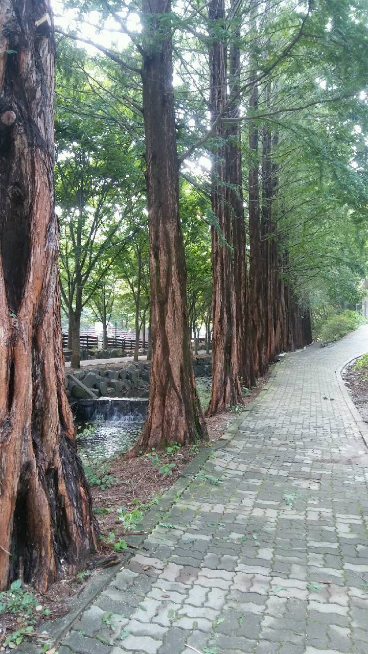산책로
