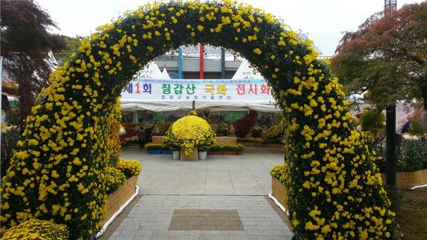 국화전시회