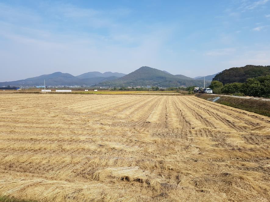 1101 볏짚 환원
