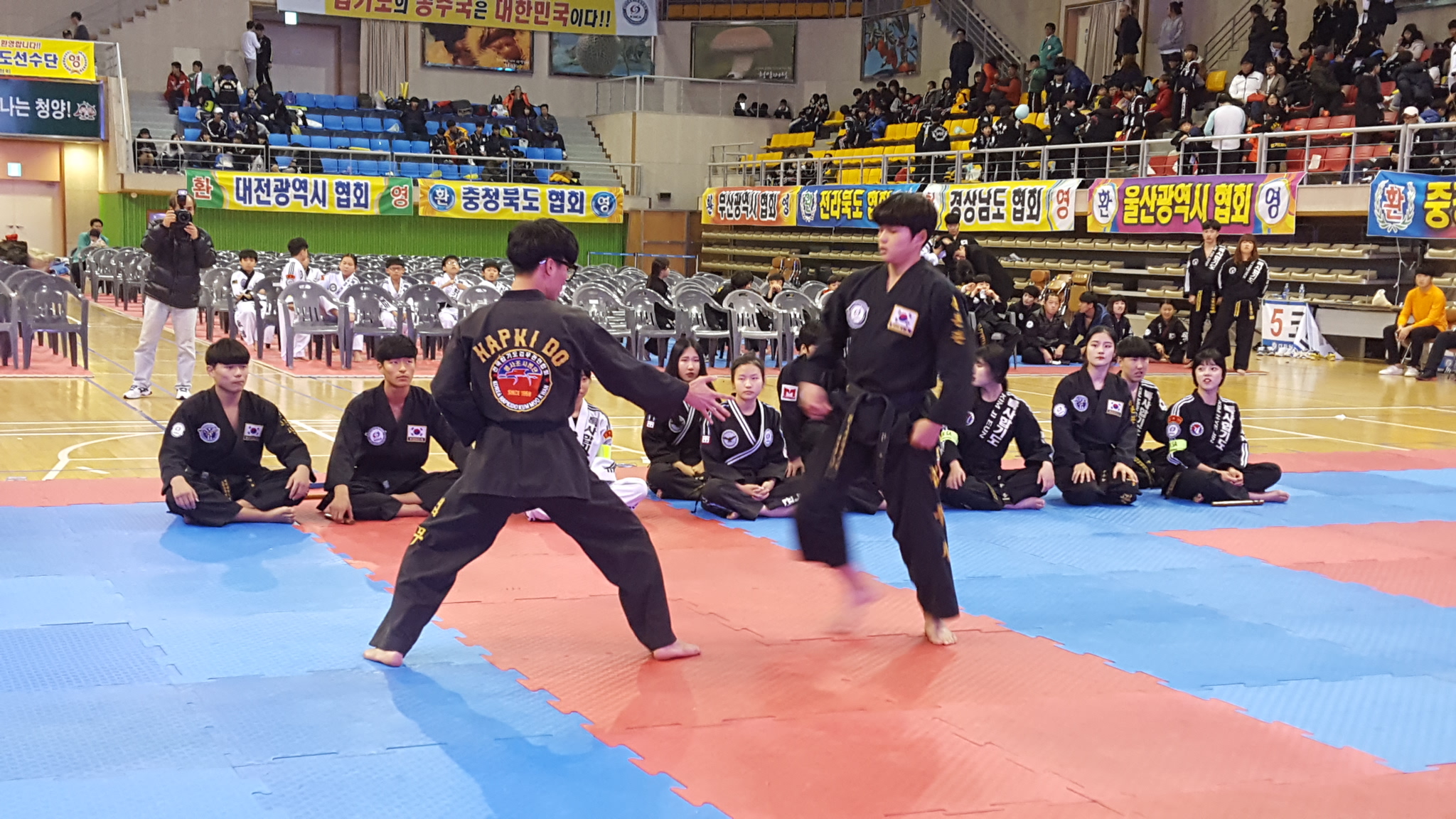 1113 2017년 전통스포츠 전국 합기도 대회2