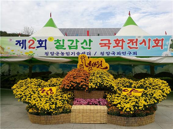 국화전시회1
