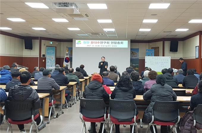 11일 왕대추연구회