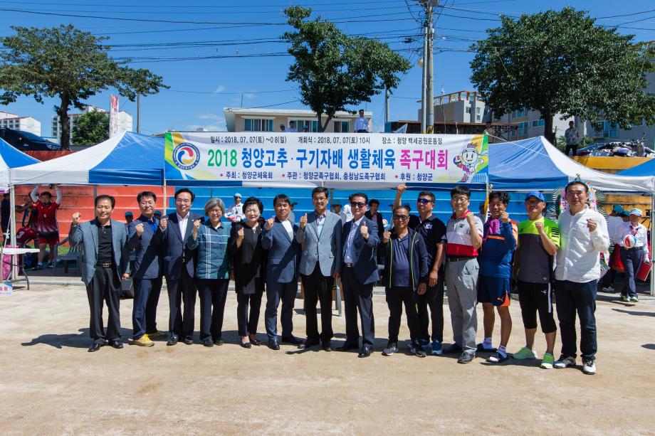2018 고추 구기자배 전국생활체육 족구대회_0020