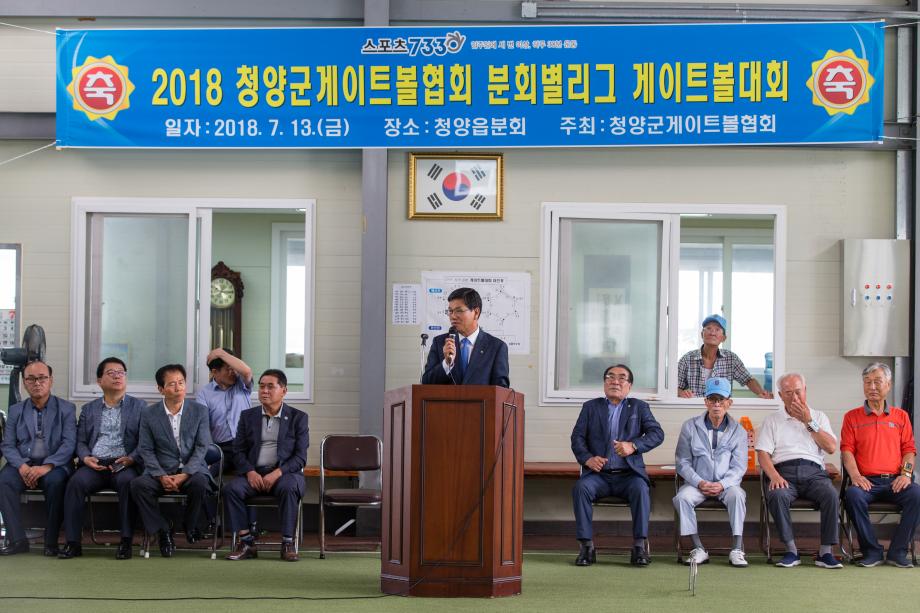 2018년 제3차 분회별 게이트볼대회_0003