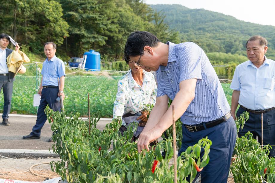 폭염피해지역 긴급순방_0012
