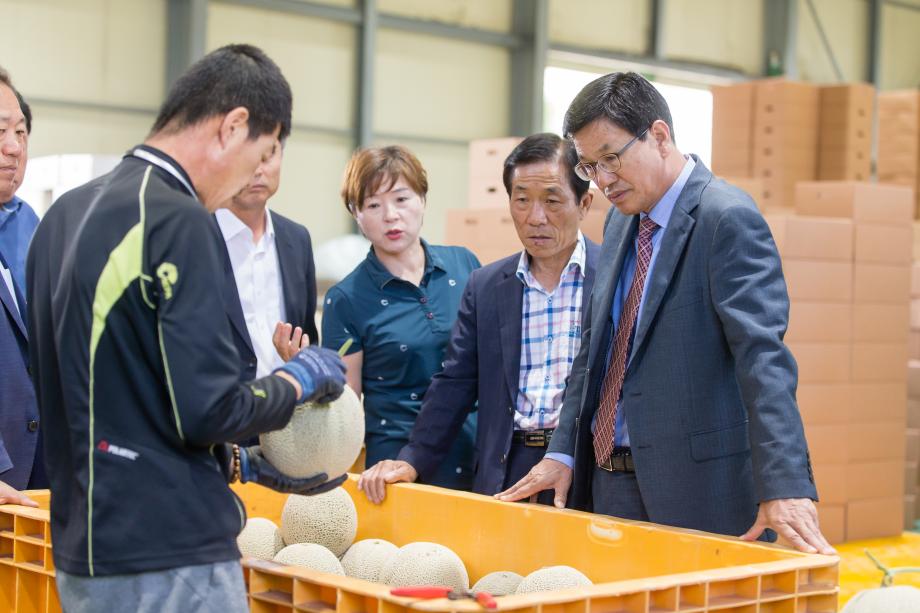 농협 농산물 집하장 방문_0001
