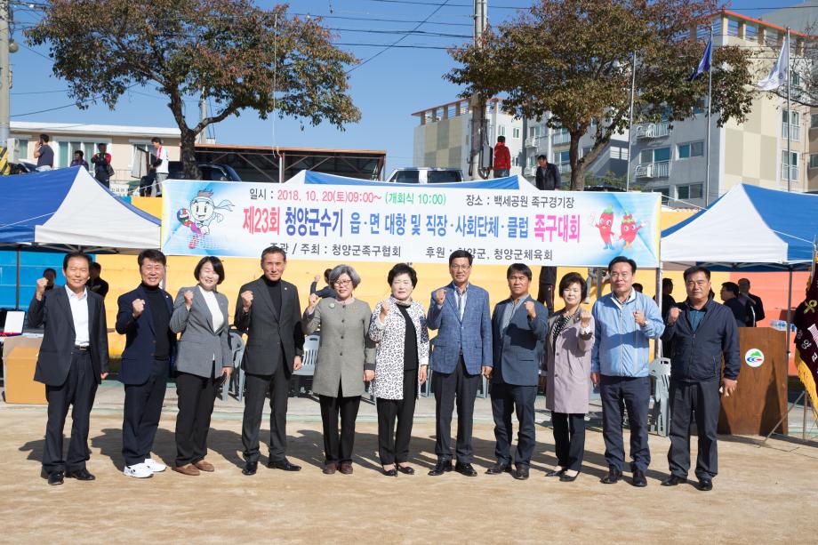 제23회 청양군수기 족구대회_0009