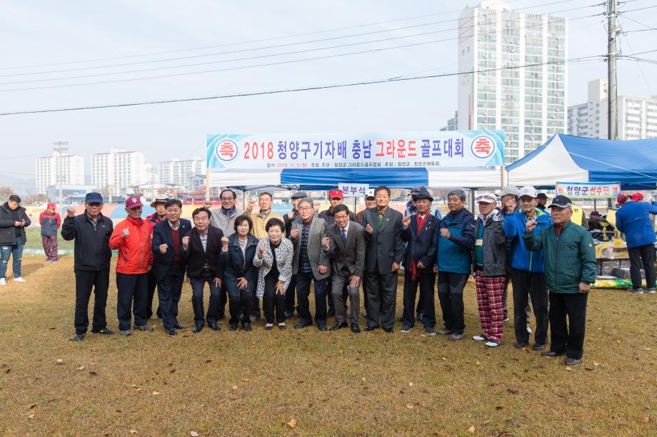 청양고추구기자배충남그라운드골프대회_0006
