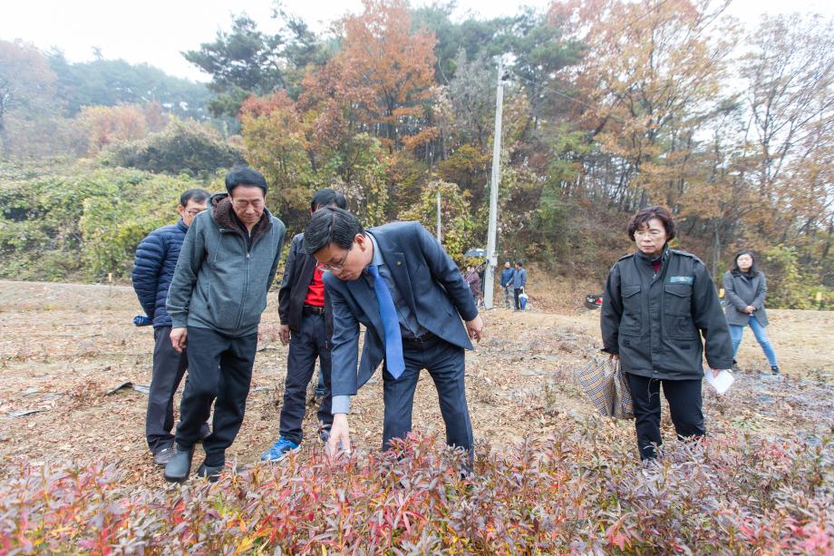 조경수작목반 출하현장 방문_0005