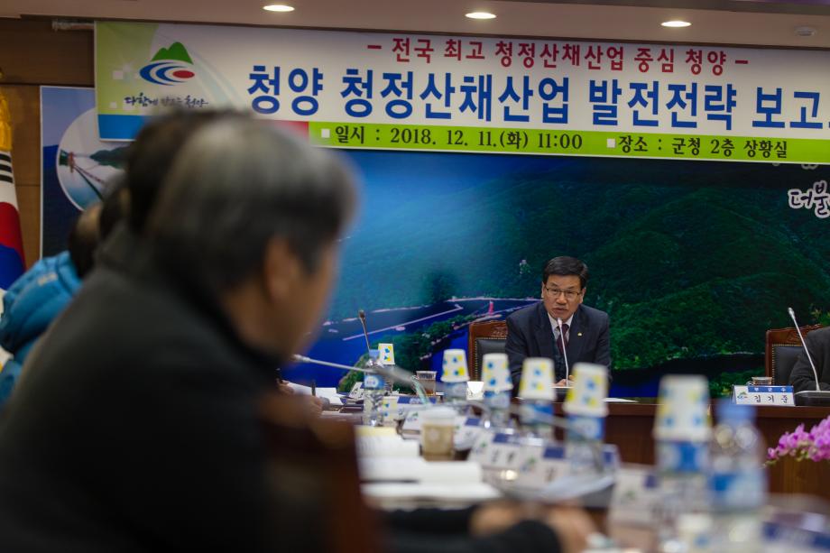 청정산채산업활력화기본계획보고회_0003