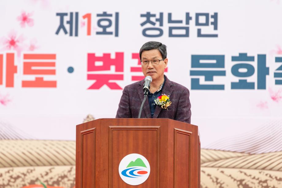 190407_제1회 청남 토마토 벚꽃 문화축제_0004