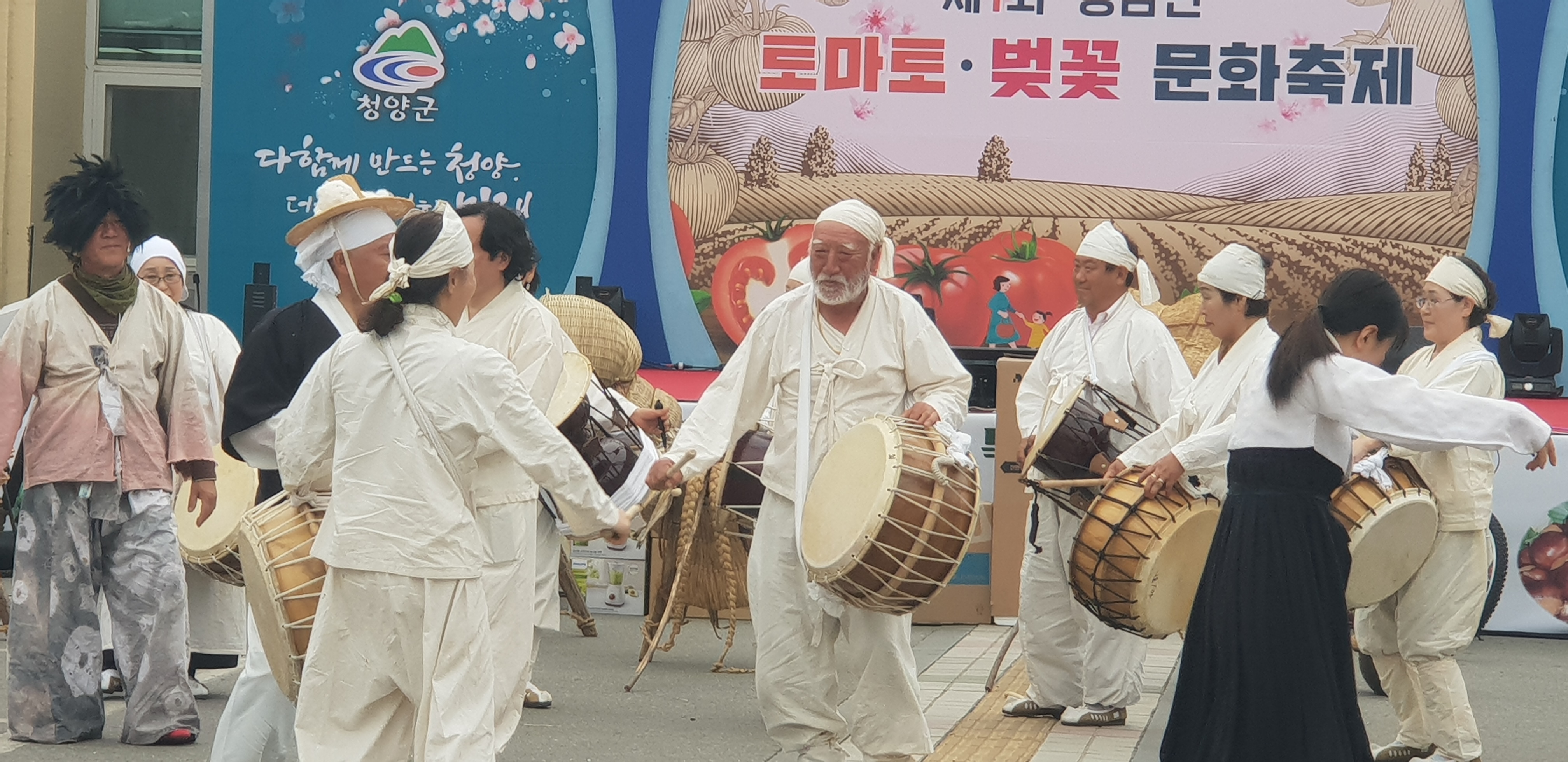 190409 청양군 청남면 제1회 토마토벚꽃문화축제 개최2
