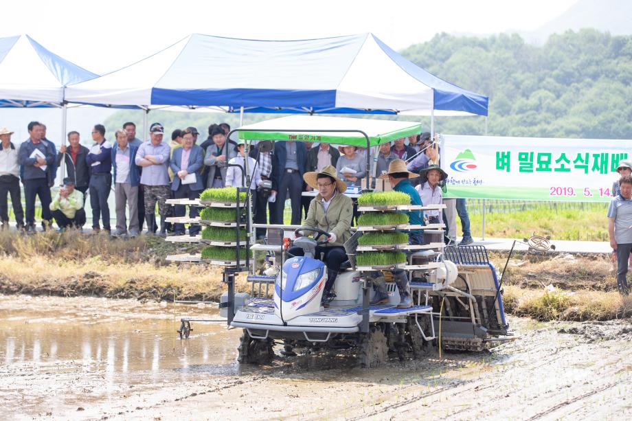 190514_벼 밀묘 소식재배교육 및 이양연시회_0009