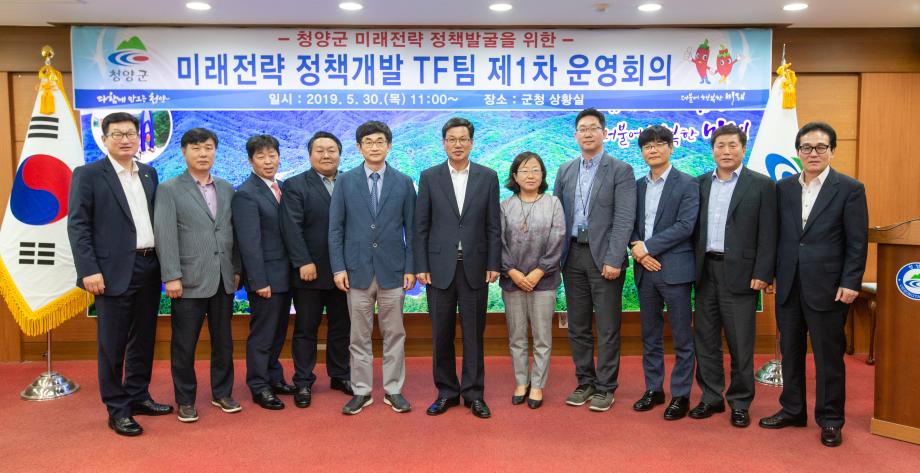 190530_미래전략 정책개발 TF 팀 1차 운영회의_0005