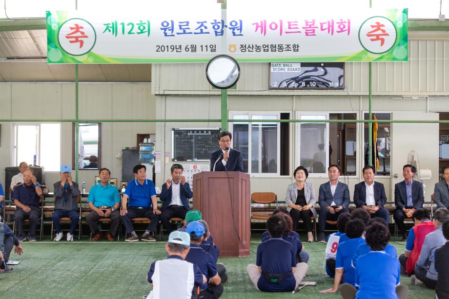 190611_정산농협 게이트볼대회_0003