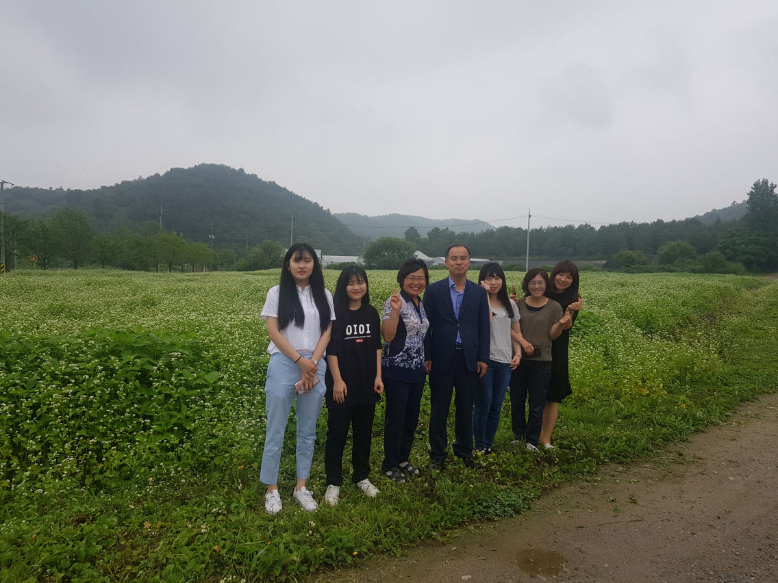 190715 구봉광산 폐광지에 ‘메밀꽃이 피었습니다’