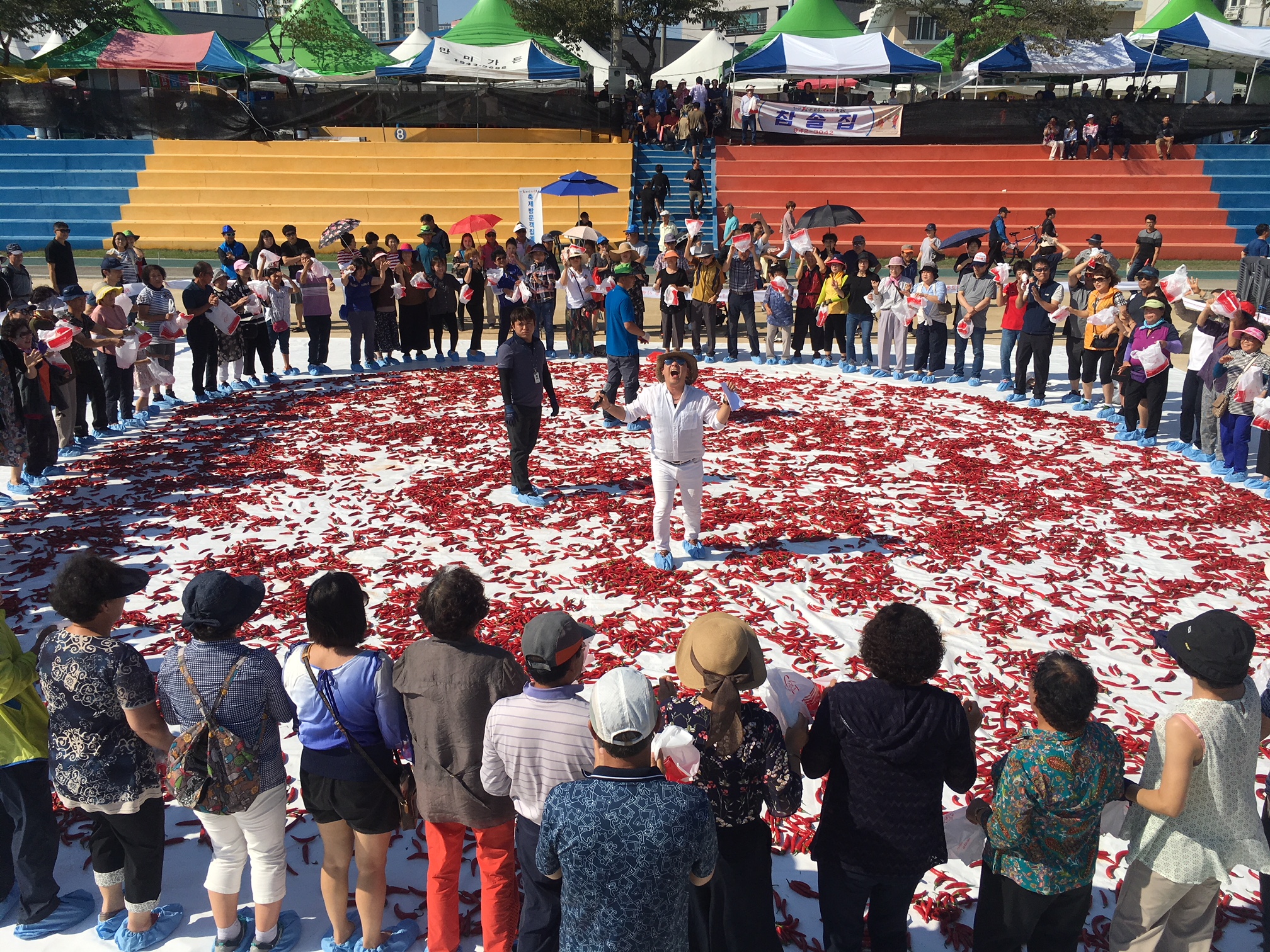 190819 청양군, 고추구기자축제 준비 최선