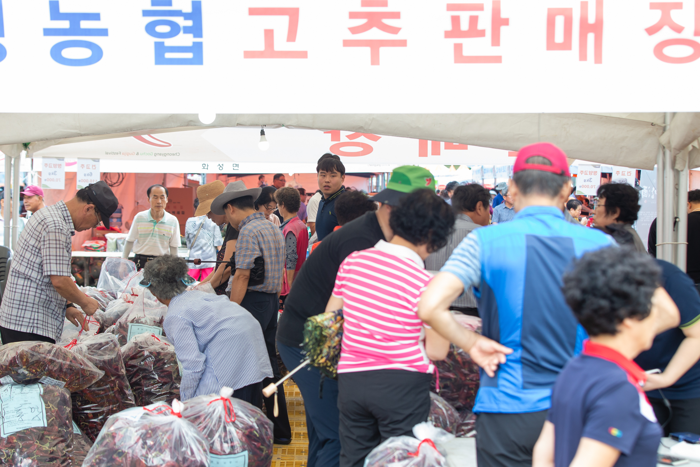 190830 2019청양고추구기자축제-고추구매 소비자들