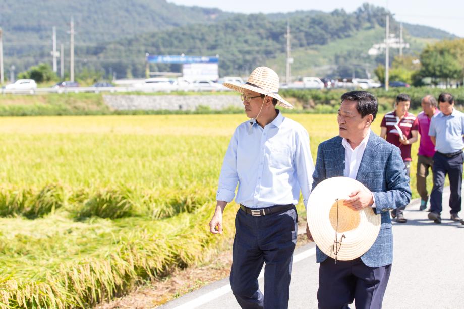 190924_2019 벼농사 종합평가회_0005