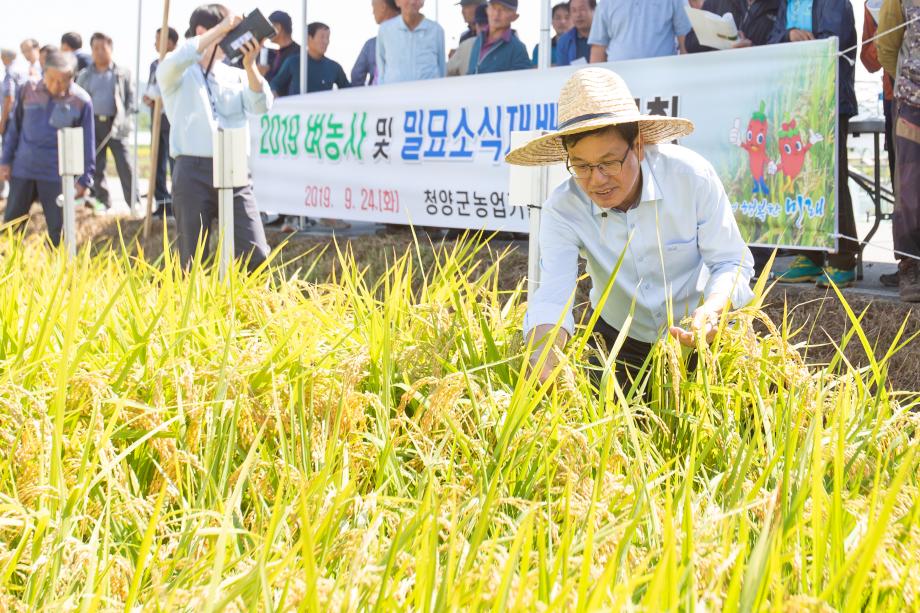 190924_2019 벼농사 종합평가회_0010