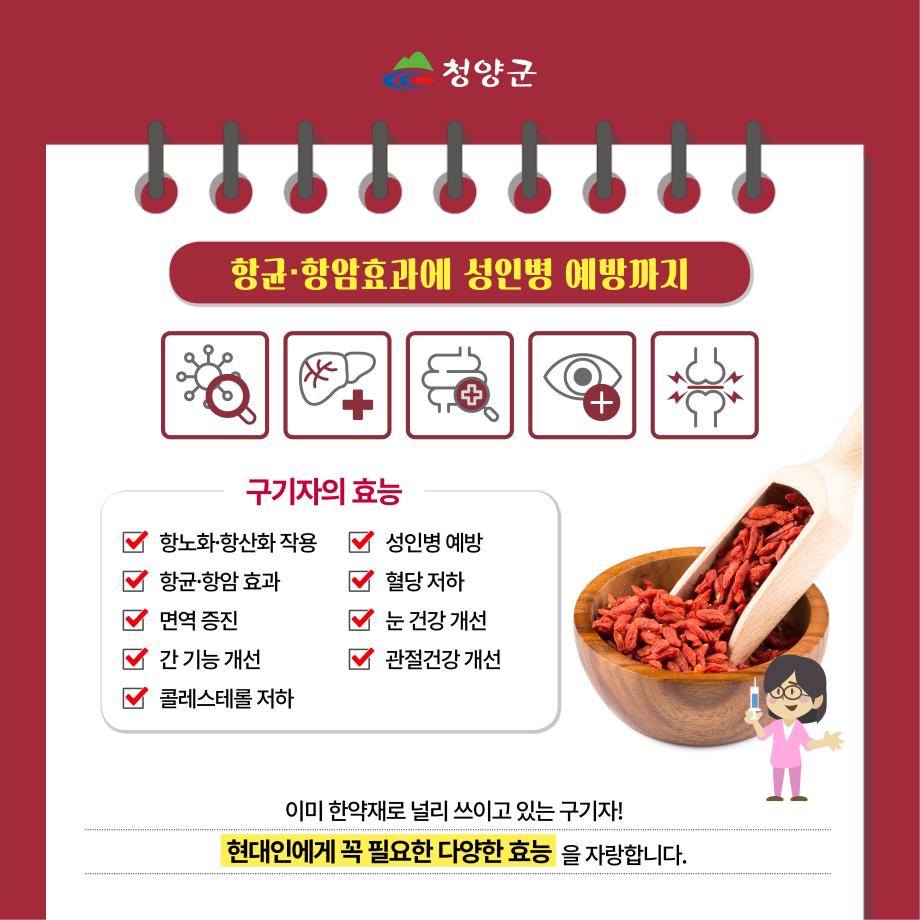 청양 특산물(구기자) 카드뉴스5
