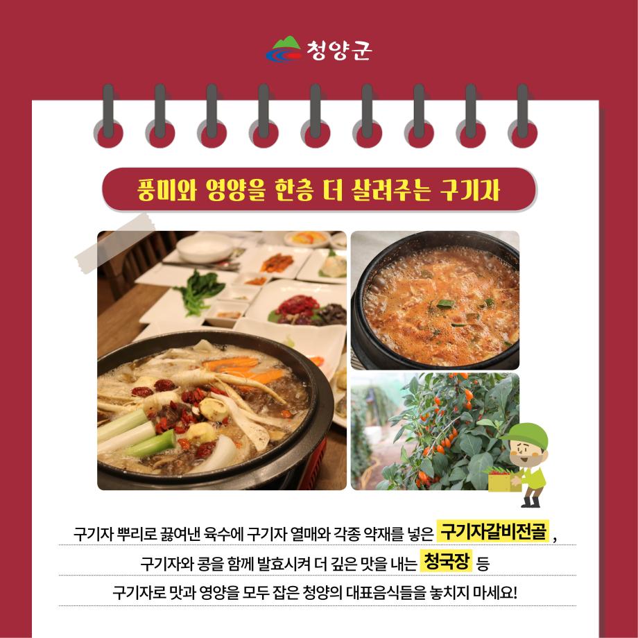 청양 특산물(구기자) 카드뉴스7