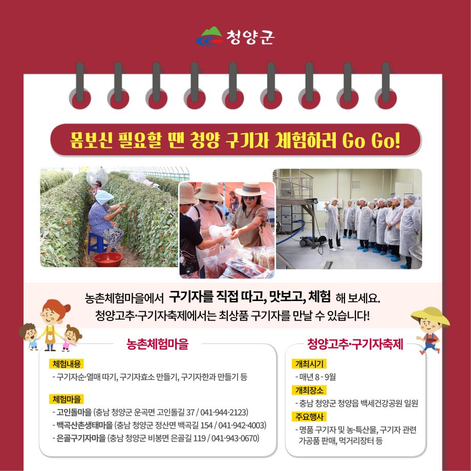 청양 특산물(구기자) 카드뉴스8