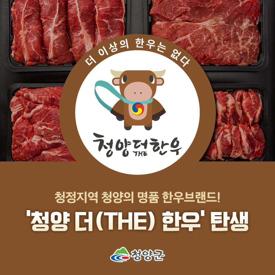 10청양군 한우브랜드