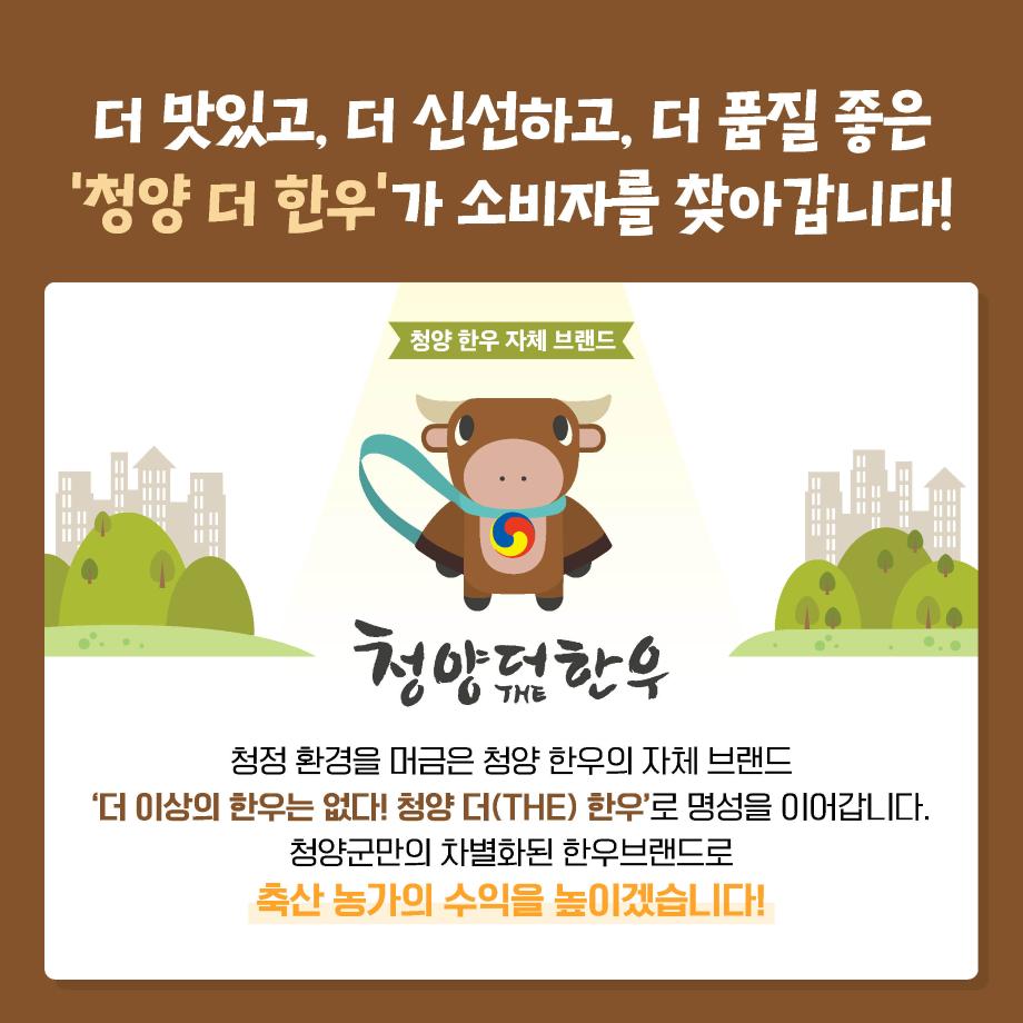 10청양군 한우브랜드2