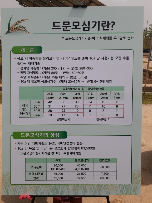 청양군, 내년에 벼 ‘드문모심기’ 확대 보급2