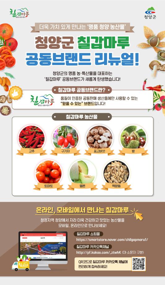 11칠갑마루 브랜드 리뉴얼(웹카드)